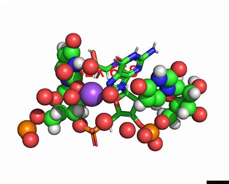 Sodium In Pdb Dtd High Resolution Crystal Structure Of Cas B From