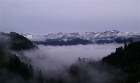 Cos E Come Si Forma La Nebbia