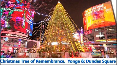 Christmas Tree Of Remembrance Yonge And Dundas Square Toronto