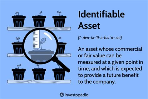 Identifiable Asset Meaning Uses Example