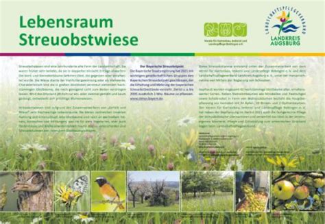 Streuobstwiese Bobingen Erh Lt Infotafel Juli