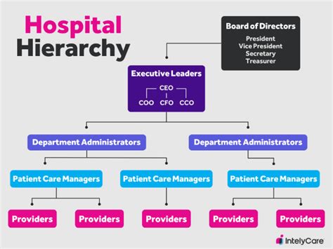 Who Is In Charge Of A Hospital Intelycare