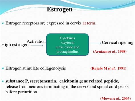 Mechanism of Cervical ripening