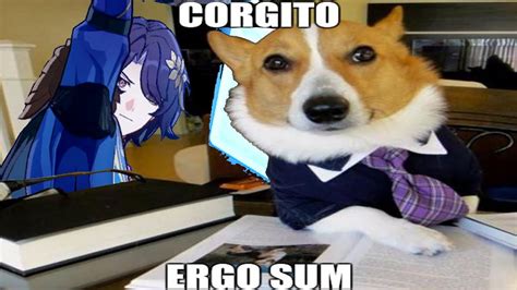 Corgito Ergo Sum Honkai Star Rail YouTube