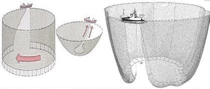 Mini Purse Seine Setting Process | Download Scientific Diagram