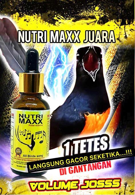 Nutri Maxx Suplemen Burung Berkicau Vitamin Penggacor Burung Berkicau