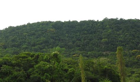 Brasil Reduz Em 12 Emissões De Gases Do Efeito Estufa Em 2023 • Rádio