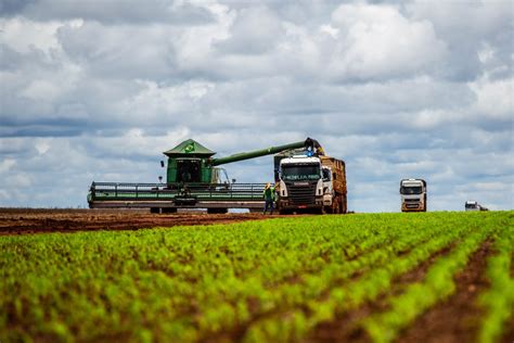 Série especial Produção agrícola abre caminhos e oportunidades para