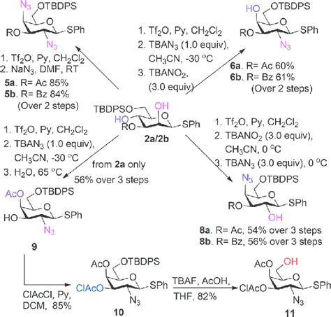 Scheme 3 Synthesis of orthogonally protected D-galactosamine building ...