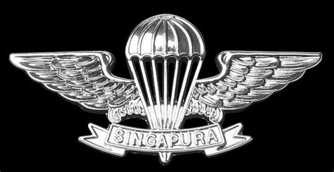 Pin On Paratroopers Badges And Insignia Of The World Special Forces