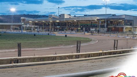 Owlerton Greyhound Stadium | Top 100 Attractions