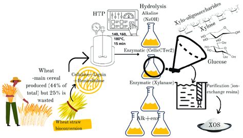 Graphical Abstract Chemical And Enzymatic Synthesis Of Biobased Download Scientific Diagram