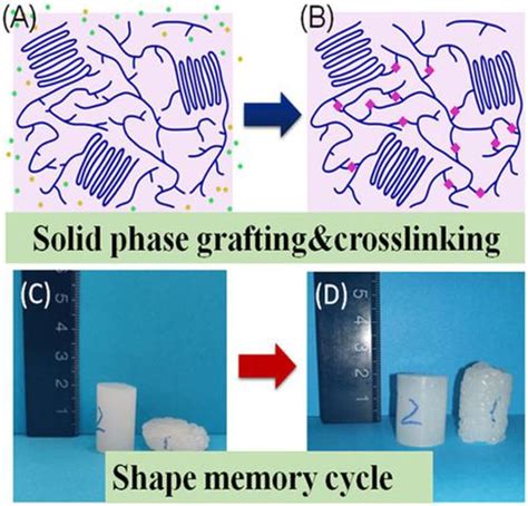 Characterization Of Shape Memory Silane Cross Linked Low Density