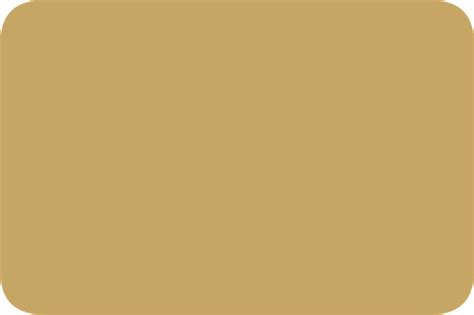 Ral Sand Yellow Color Plate Sample Lvp Paints