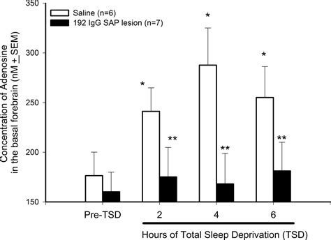 Adenosine And Sleep Homeostasis In The Basal Forebrain Journal Of