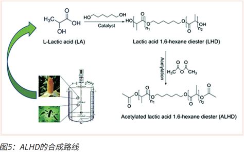 生物基增塑剂创新发展及其产业化应用 荣格塑料工业专访 知乎