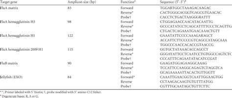 Target Genes Amplicon Sizes Labels And Sequences Of Primers And