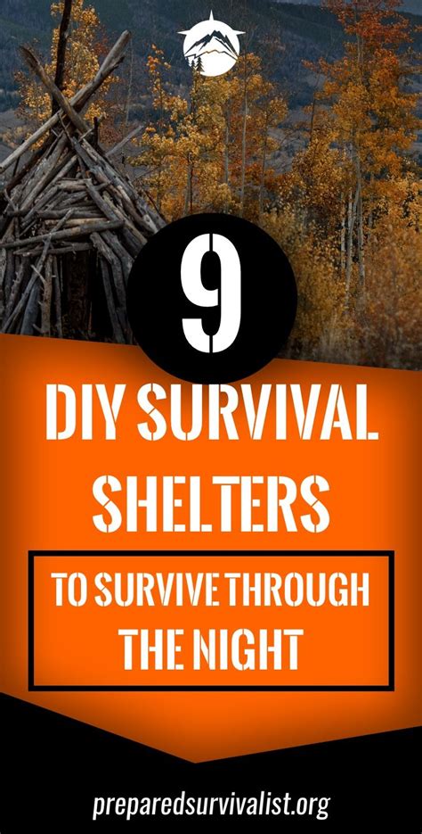 9 DIY Survival Shelter To Survive Through The Night Earthquake ...