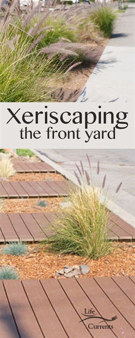 Xeriscaping the front yard - tips, tricks, what we did, and how it ...