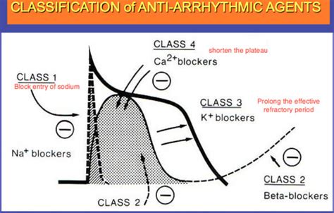 Bod Quiz 1 Anti Arrhythmic Drugs Flashcards Quizlet