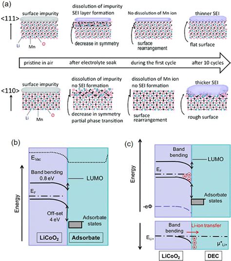 Proposed Interphase Behavior Between Cathode And Electrolyte A