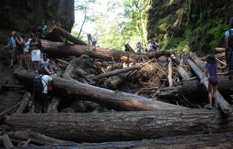 Oneonta Gorge, Oregon - TRAVEL WITH AFRICAH