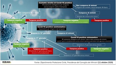 L Infezione Da Coronavirus Sars Cov Covid Igeam