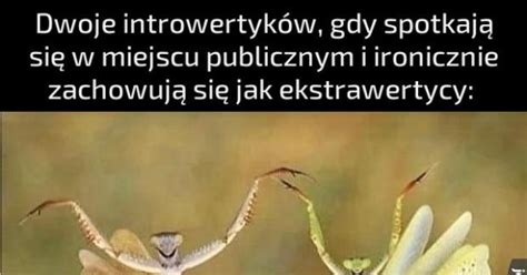 Rel Jeja Pl