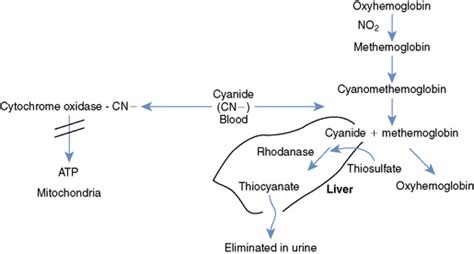 Hydrogen Cyanide Poisoning