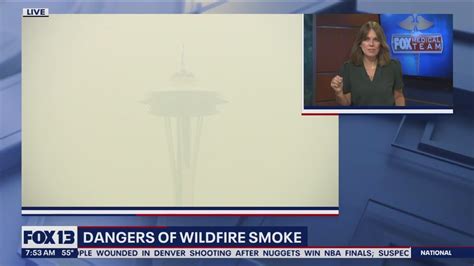 Health Dangers Of Wildfire Smoke Youtube