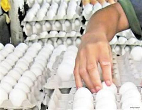 El Precio Del Huevo En México Se Ha Incrementado En 454 Wattpoultry