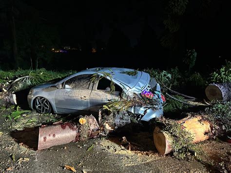 Carro é esmagado após árvore cair durante ventos fortes em SC Santa