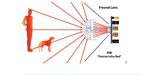 PIR Motion Sensor Uses and Its Working Principle | Econtrol Devices