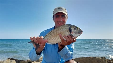 Pesca All Orata Con La Cozza Montatura E Inneschi Youtube