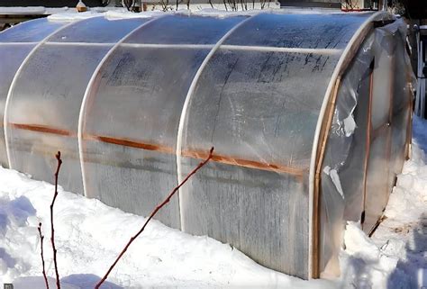 La culture sous serre pour des légumes frais tout l hiver