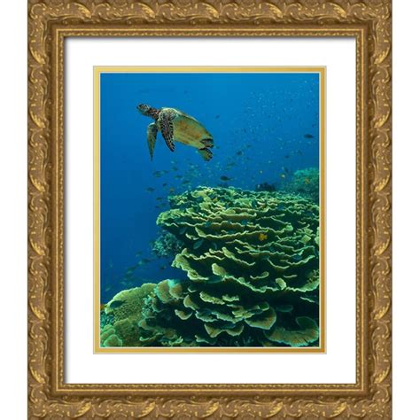 Fitzharris Tim 26x32 Gold Ornate Wood Framed With Double Matting