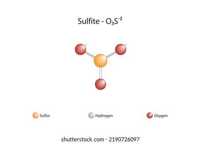 Molecular Formula Chemical Structure Sulfite Stock Vector (Royalty Free ...