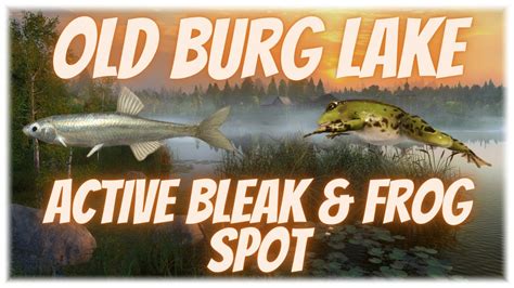 Russian Fishing Active Bleak Frog Spot Old Burg Lake Youtube