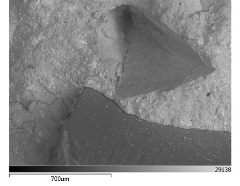 Sem Image Of Pet Showing Debonding Of Plastic Particle On Split