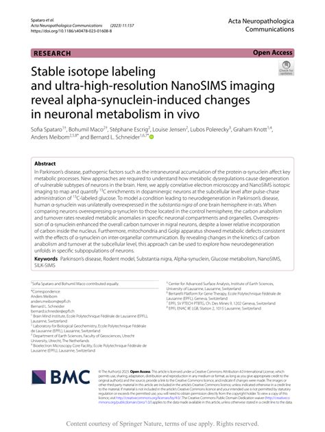 Pdf Stable Isotope Labeling And Ultra High Resolution Nanosims