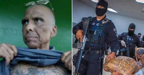 Most Wanted Leader Of Worlds Most Brutal Gang Found Using Fake