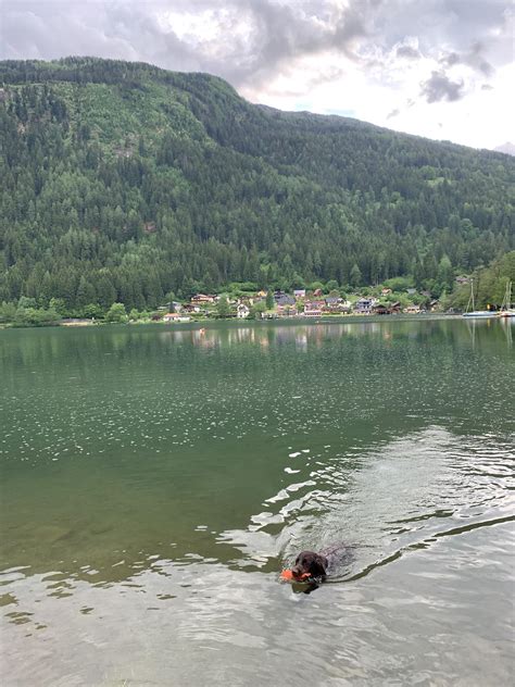 Mirnockappartements Am Millstätter See In Bad Kleinkirchheim