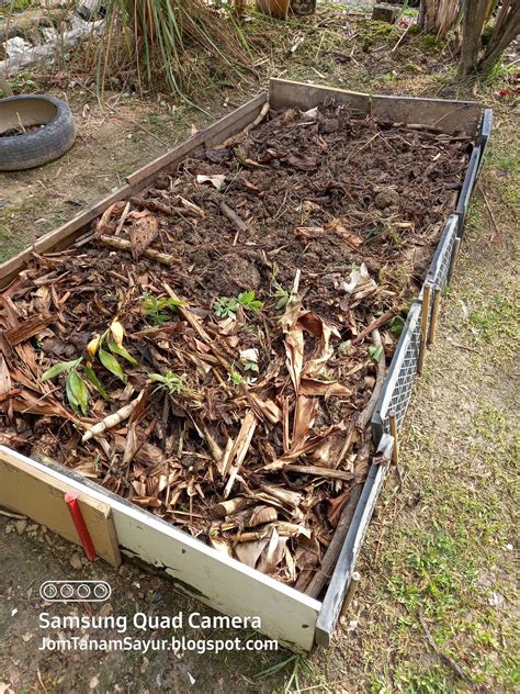 Jom Tanam Sayur Jts Batas Timbun Sebagai Komposter Garden