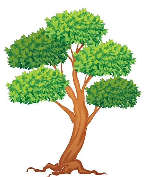 Tree Plants Clipart Clip Art Library