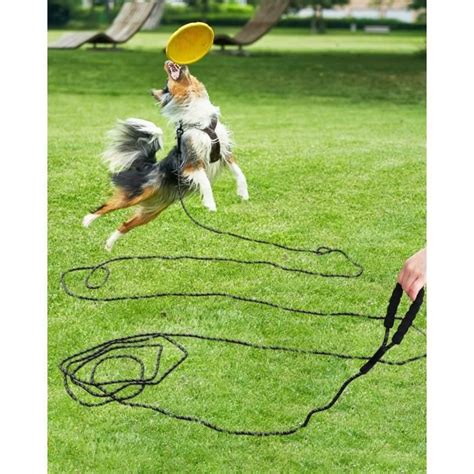 Longe Pour Chien M Long Laisse Chien Corde Avec Poign E Rembourr E