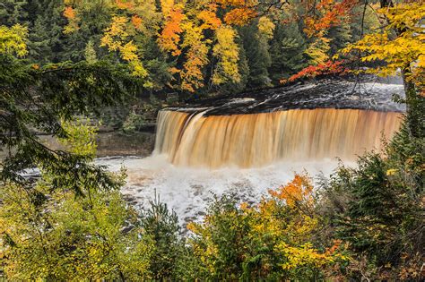 Tahquamenon Falls And Fall Colors Upper License Image 71412796