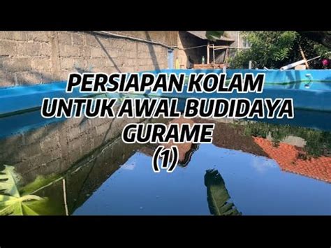 TONTON INI SEBELUM MEMBUDIDAYA IKAN GURAME PERSIAPAN KOLAM BAGI