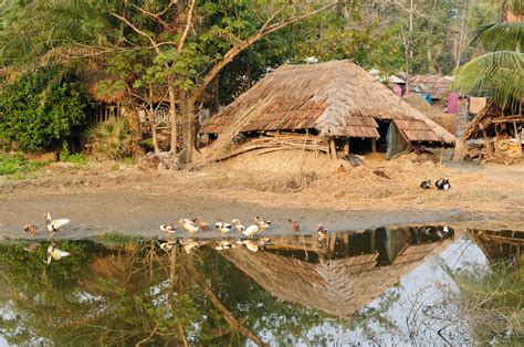 Navigate the Waterways of Sundarbans National Park – Touropia Travel