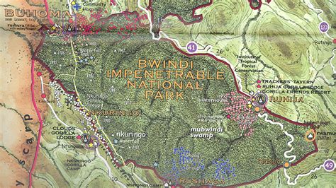 Bwindi Impenetrable Forest - Bwindi Impenetrable Forest