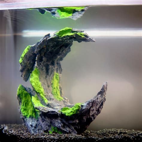 Amazon.com: Allcolor Decorative Rocks.Aquarium Decoration Model.Easy ...